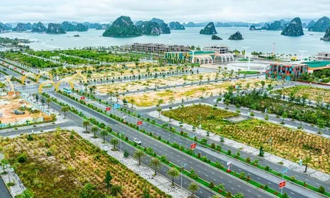 Quảng Ninh đang tìm chủ đầu tư cho siêu dự án 2 tỷ USD có casino tại Vân Đồn
