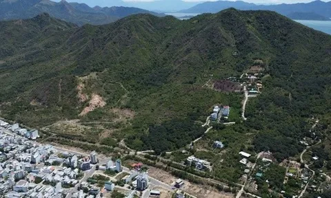 Nha Trang: Khống chế xây dựng toàn bộ khu vực trên núi Cô Tiên