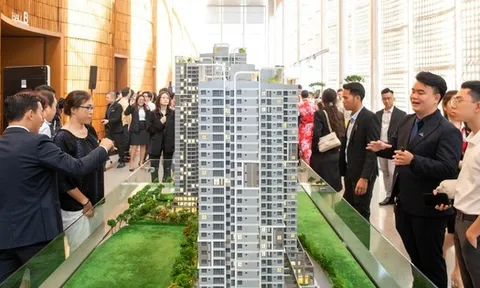 Tương lai căn hộ giá 30-40 triệu đồng/m2 tại 'siêu đô thị' TP.HCM?