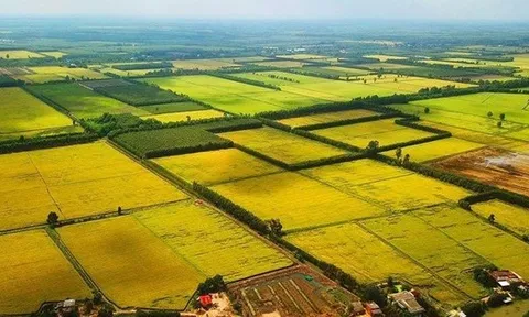 Đề xuất quy định hướng dẫn việc kéo dài thời hạn miễn thuế sử dụng đất nông nghiệp