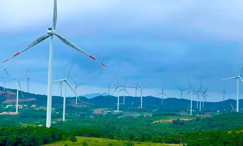 Dự án điện gió có tiềm năng, một doanh nghiệp quân đội đề xuất nâng quy mô lên hơn 310 triệu USD