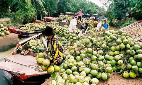 Khai phá thị trường mới, tiếp tục đưa trái cây Việt lên kệ hàng quốc tế