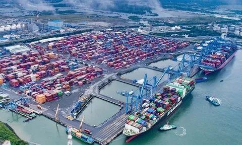 Sớm hình thành Khu Thương mại tự do Cái Mép Hạ quy mô 3.764 ha