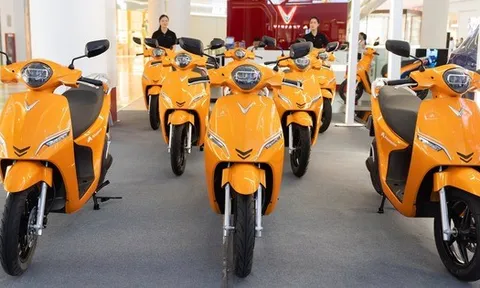 VinFast, Selex, Dat Bike, Yadea, Pega... đang làm gì với xe máy điện trong cuộc chạy đua logistics xanh?