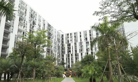 Hà Tĩnh: Tháo gỡ khó khăn, tăng tốc triển khai các dự án nhà ở xã hội
